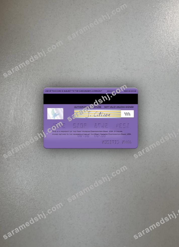 USA First Horizon National Corporation Bank visa card photolook back